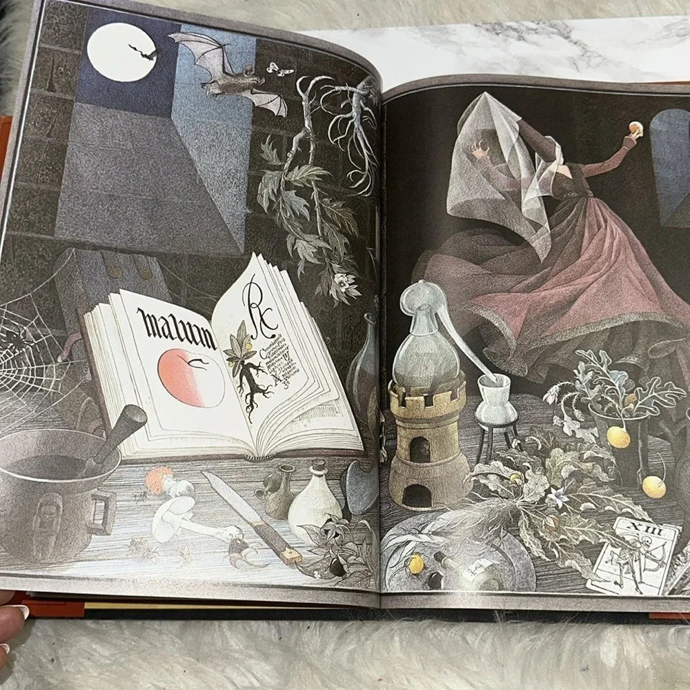 Snow-White and the Seven Dwarfs large vintage illustrated Book